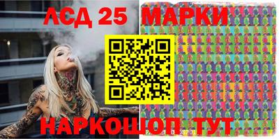 спайс Тара