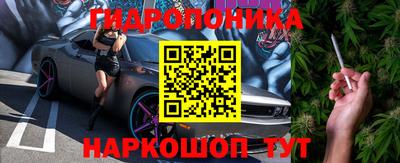 спайс Тара