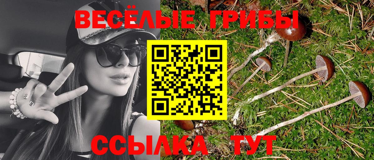 Пыть-Ях  Галлюциногенные грибы ЛСД  Вход с VPN 