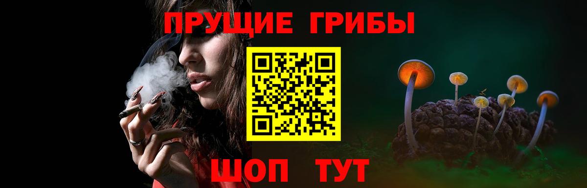 Псилоцибиновые грибы Cubensis Пыть-Ях